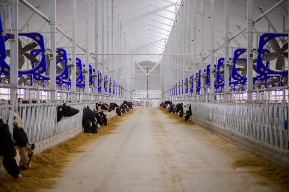 現(xiàn)代牧業(yè)（烏拉特前旗）有限公司新建牧場項目